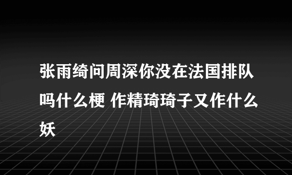 张雨绮问周深你没在法国排队吗什么梗 作精琦琦子又作什么妖