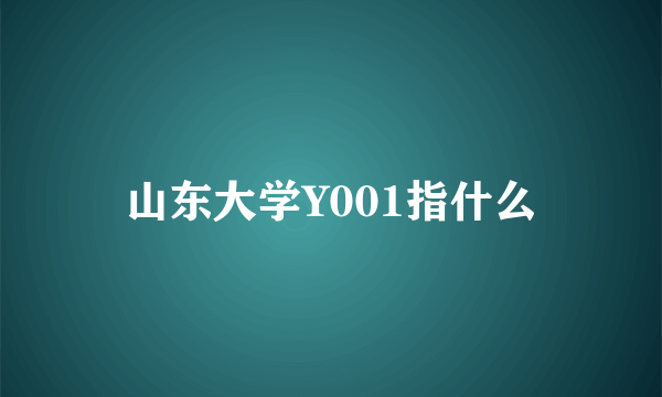 山东大学Y001指什么