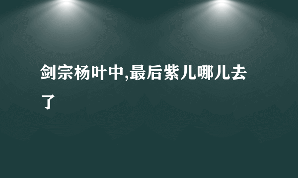 剑宗杨叶中,最后紫儿哪儿去了