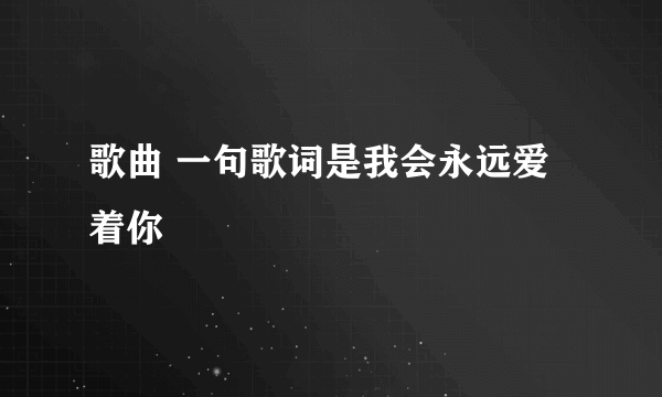 歌曲 一句歌词是我会永远爱着你