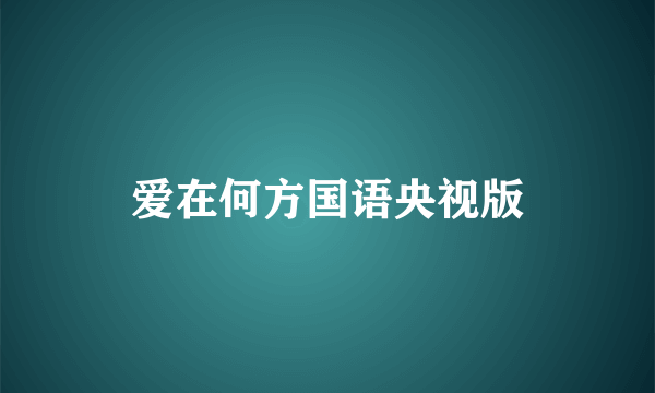 爱在何方国语央视版