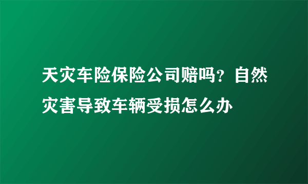 天灾车险保险公司赔吗？自然灾害导致车辆受损怎么办