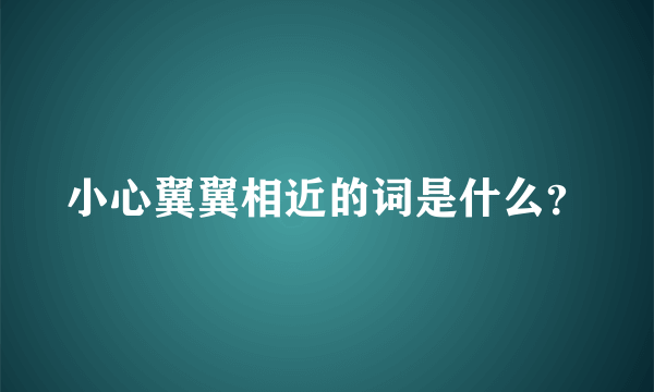 小心翼翼相近的词是什么？