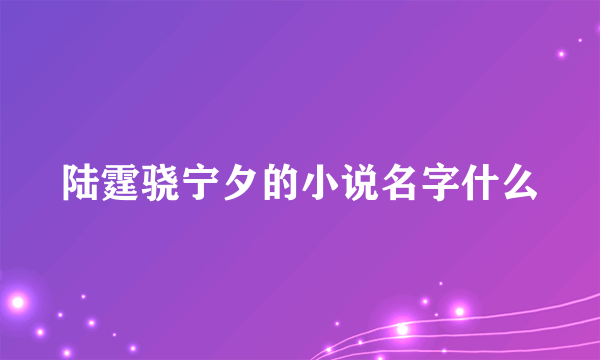 陆霆骁宁夕的小说名字什么