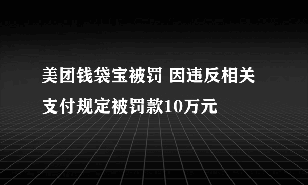 美团钱袋宝被罚 因违反相关支付规定被罚款10万元