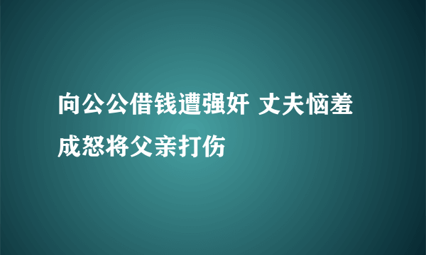 向公公借钱遭强奸 丈夫恼羞成怒将父亲打伤