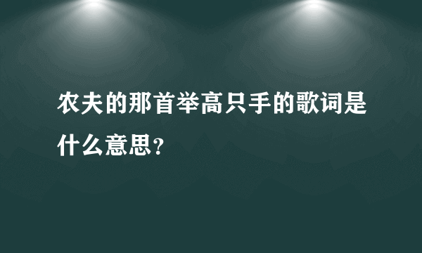 农夫的那首举高只手的歌词是什么意思？