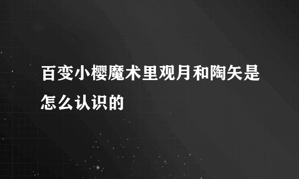 百变小樱魔术里观月和陶矢是怎么认识的