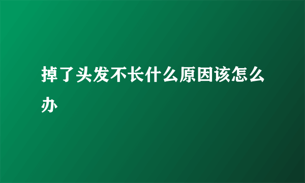 掉了头发不长什么原因该怎么办