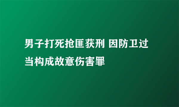 男子打死抢匪获刑 因防卫过当构成故意伤害罪