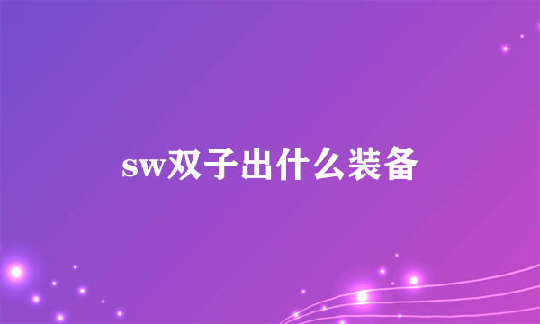 sw双子出什么装备