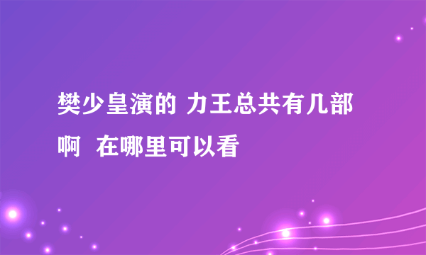 樊少皇演的 力王总共有几部啊  在哪里可以看