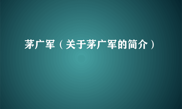 茅广军（关于茅广军的简介）