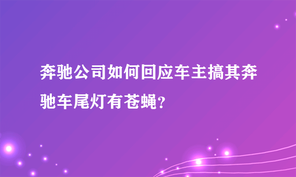 奔驰公司如何回应车主搞其奔驰车尾灯有苍蝇？