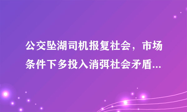 公交坠湖司机报复社会，市场条件下多投入消弭社会矛盾，你咋看？