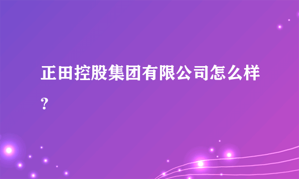 正田控股集团有限公司怎么样？