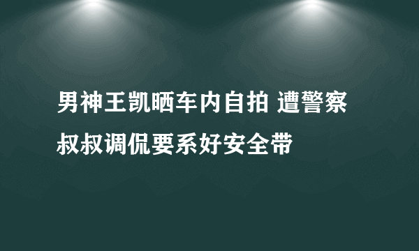 男神王凯晒车内自拍 遭警察叔叔调侃要系好安全带