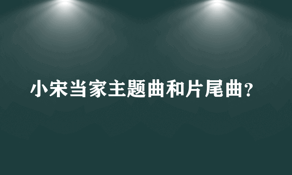 小宋当家主题曲和片尾曲？