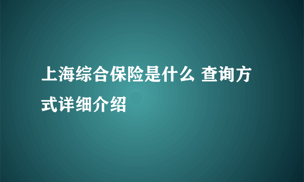 上海综合保险是什么 查询方式详细介绍