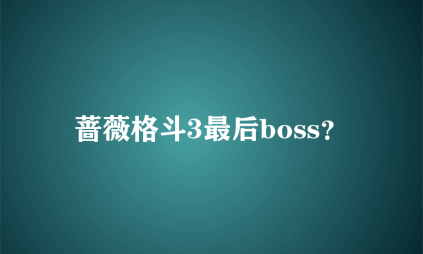 蔷薇格斗3最后boss？