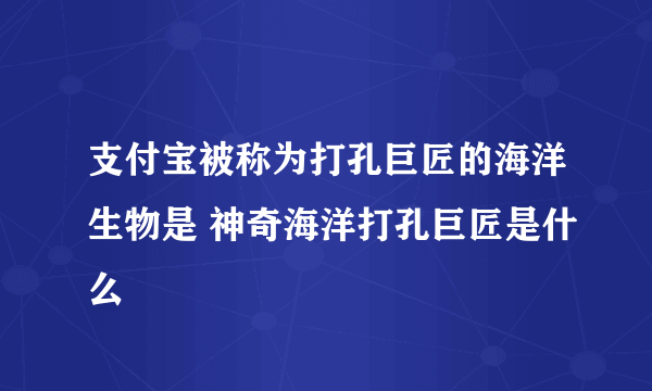 支付宝被称为打孔巨匠的海洋生物是 神奇海洋打孔巨匠是什么