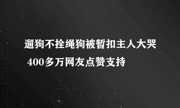 遛狗不拴绳狗被暂扣主人大哭 400多万网友点赞支持