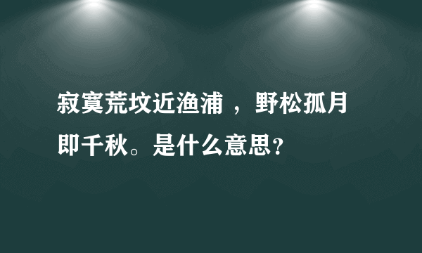 寂寞荒坟近渔浦 ，野松孤月即千秋。是什么意思？