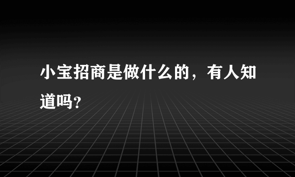 小宝招商是做什么的，有人知道吗？