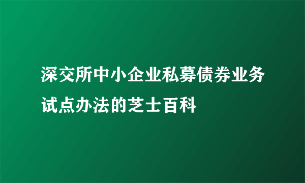 深交所中小企业私募债券业务试点办法的芝士百科