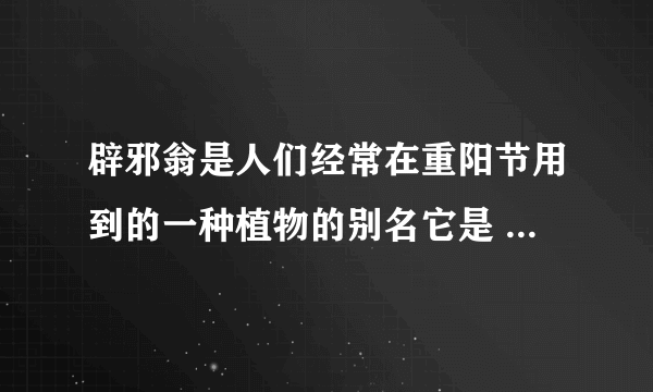 辟邪翁是人们经常在重阳节用到的一种植物的别名它是 蚂蚁庄园今日答案10月25日