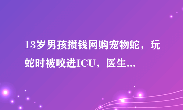 13岁男孩攒钱网购宠物蛇，玩蛇时被咬进ICU，医生：买的是竹叶青