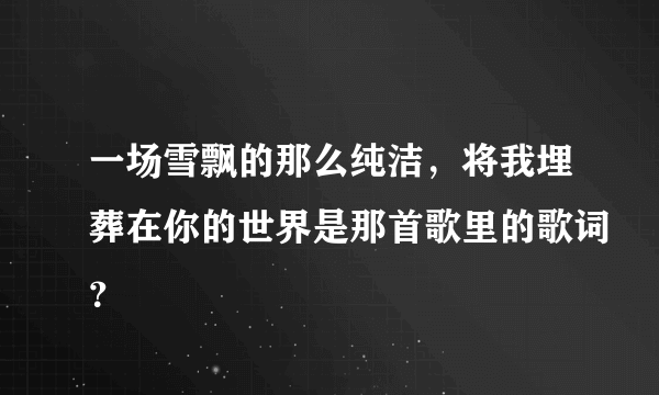 一场雪飘的那么纯洁，将我埋葬在你的世界是那首歌里的歌词？