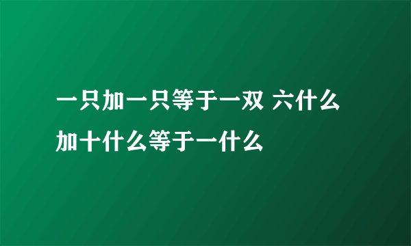 一只加一只等于一双 六什么加十什么等于一什么