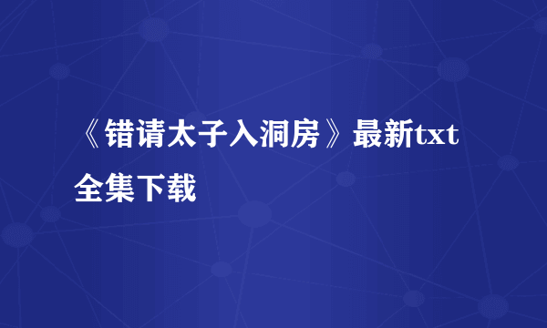 《错请太子入洞房》最新txt全集下载