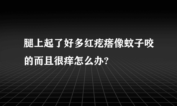 腿上起了好多红疙瘩像蚊子咬的而且很痒怎么办?