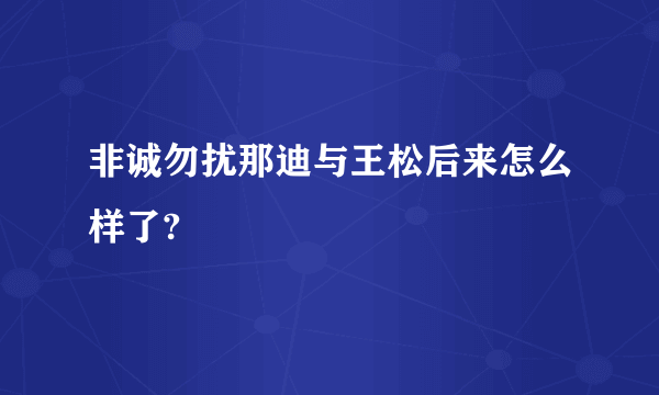 非诚勿扰那迪与王松后来怎么样了?