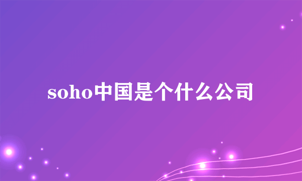 soho中国是个什么公司