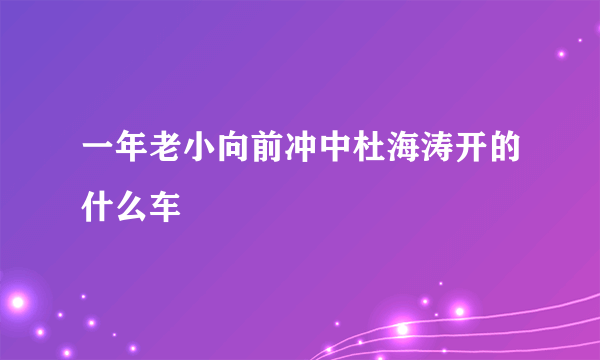 一年老小向前冲中杜海涛开的什么车