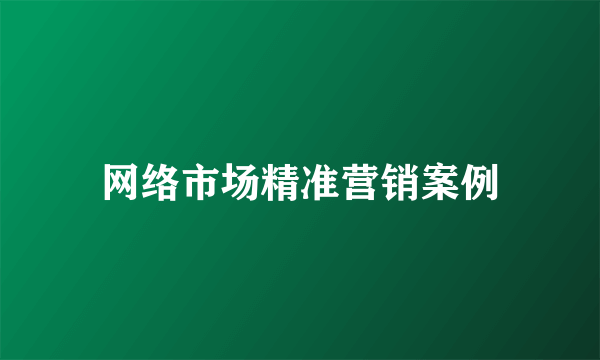 网络市场精准营销案例