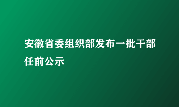 安徽省委组织部发布一批干部任前公示