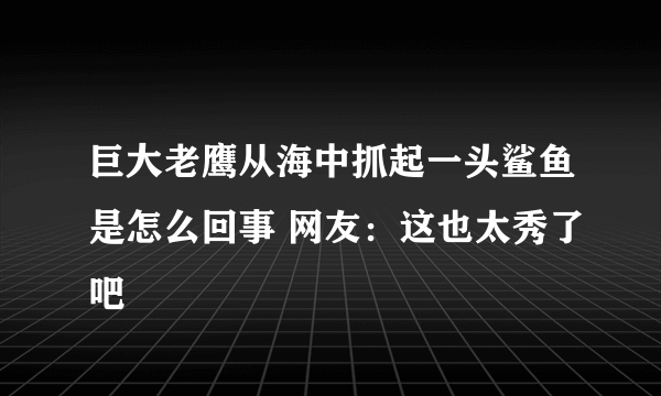 巨大老鹰从海中抓起一头鲨鱼是怎么回事 网友：这也太秀了吧