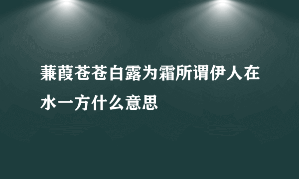 蒹葭苍苍白露为霜所谓伊人在水一方什么意思