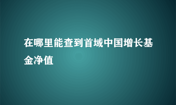 在哪里能查到首域中国增长基金净值