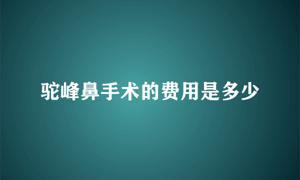 驼峰鼻手术的费用是多少