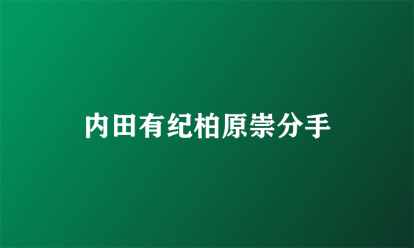 内田有纪柏原崇分手