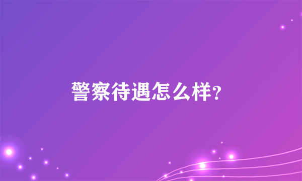 警察待遇怎么样？