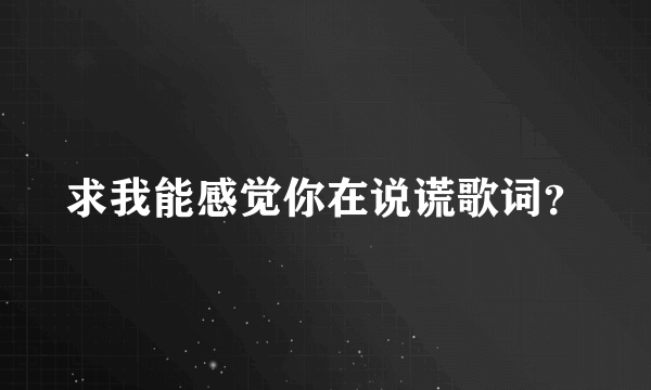 求我能感觉你在说谎歌词？