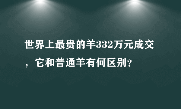 世界上最贵的羊332万元成交，它和普通羊有何区别？