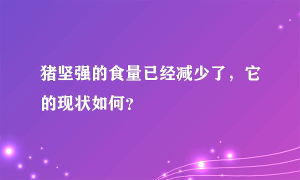 猪坚强的食量已经减少了，它的现状如何？