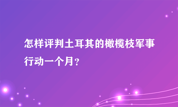 怎样评判土耳其的橄榄枝军事行动一个月？